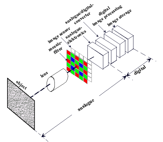 Transfer chain